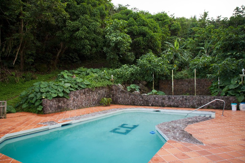 Saba-The_Cottage_Club20081112Cees_Timmers2170