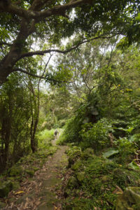 Crispeen trail