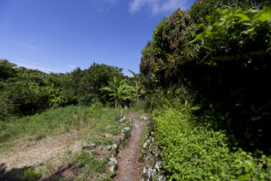Maskhorne Trail