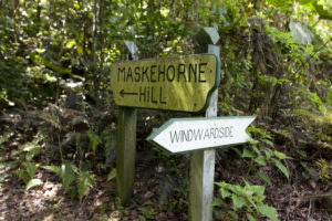 maskhorne trail