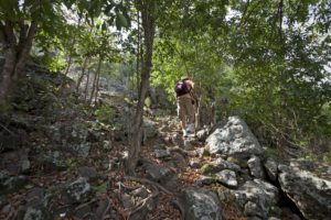 Paris Hill Trail