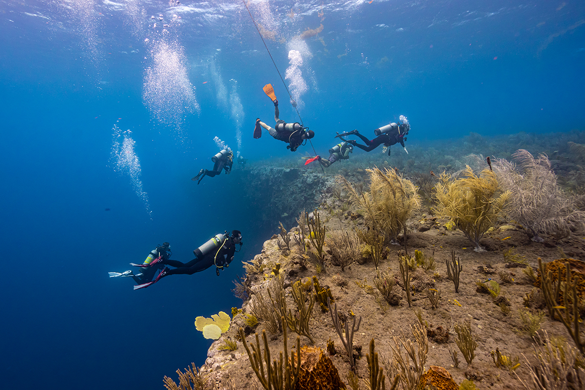 Group Diving in Saba