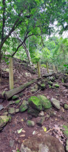 Saba Marys Point