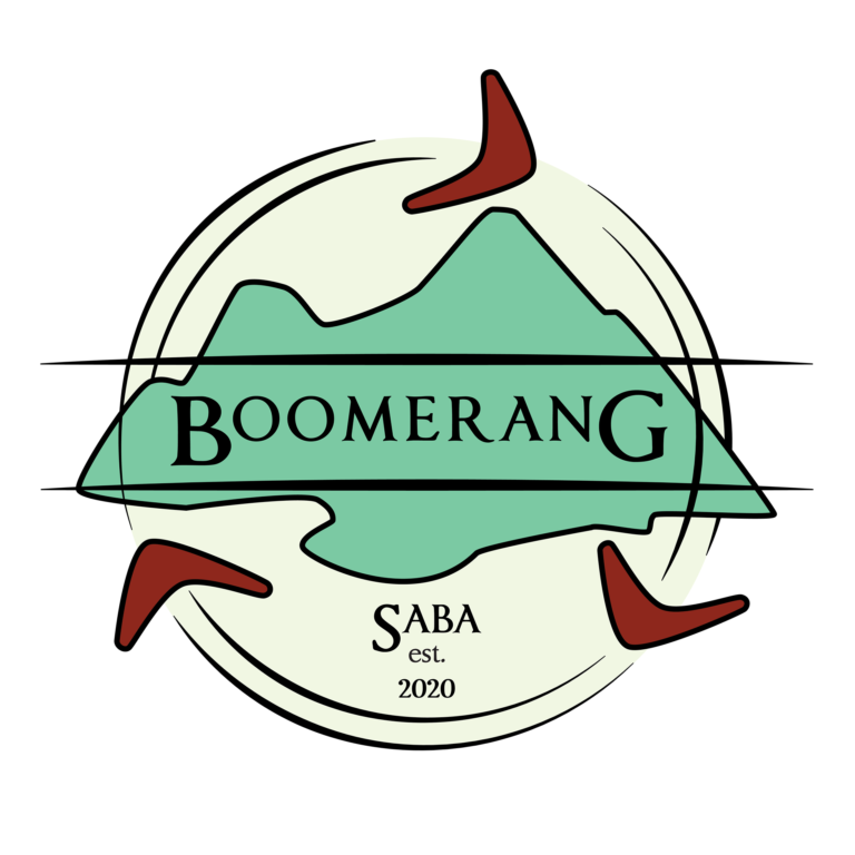 Boomerang 768x768