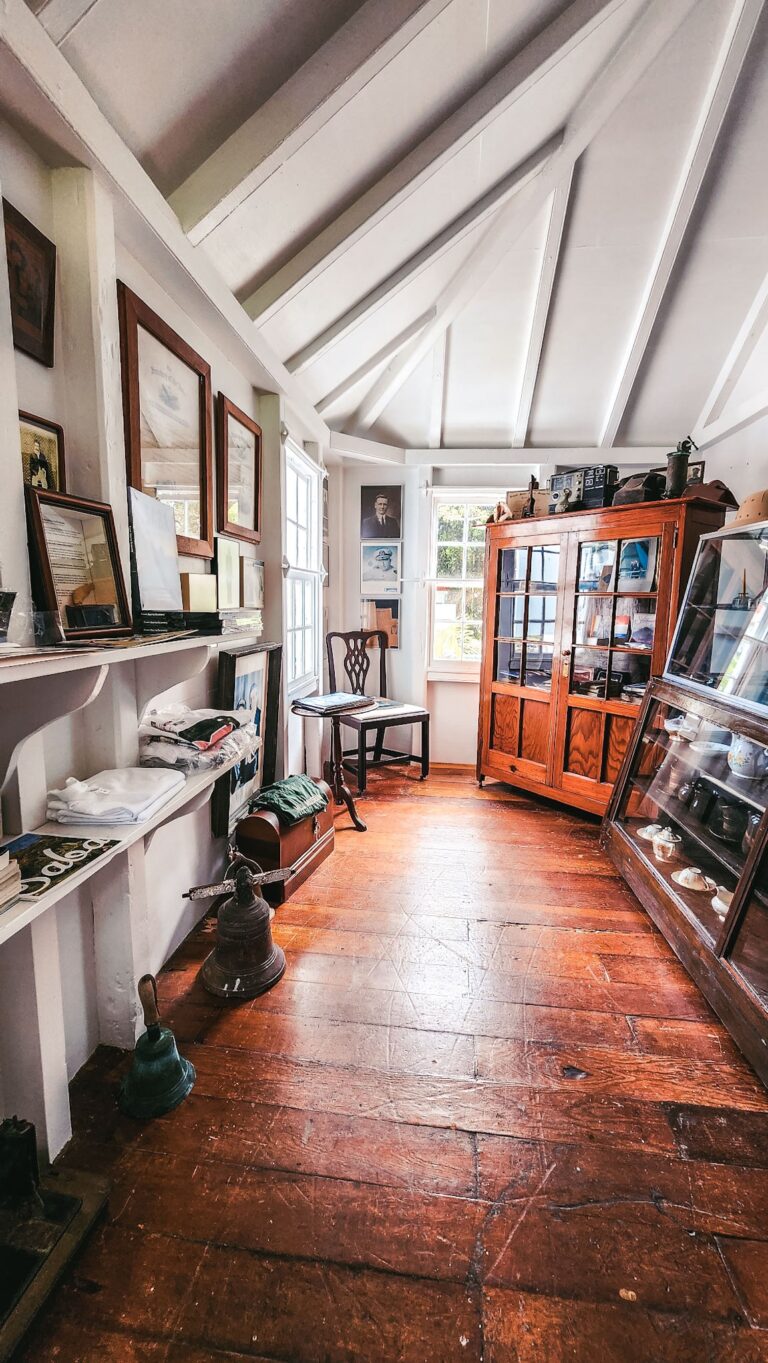 20230207 094905 768x1363