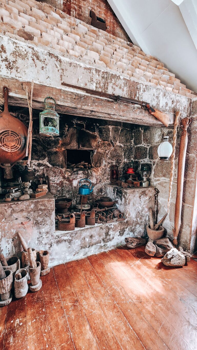 20230207 095235 768x1363