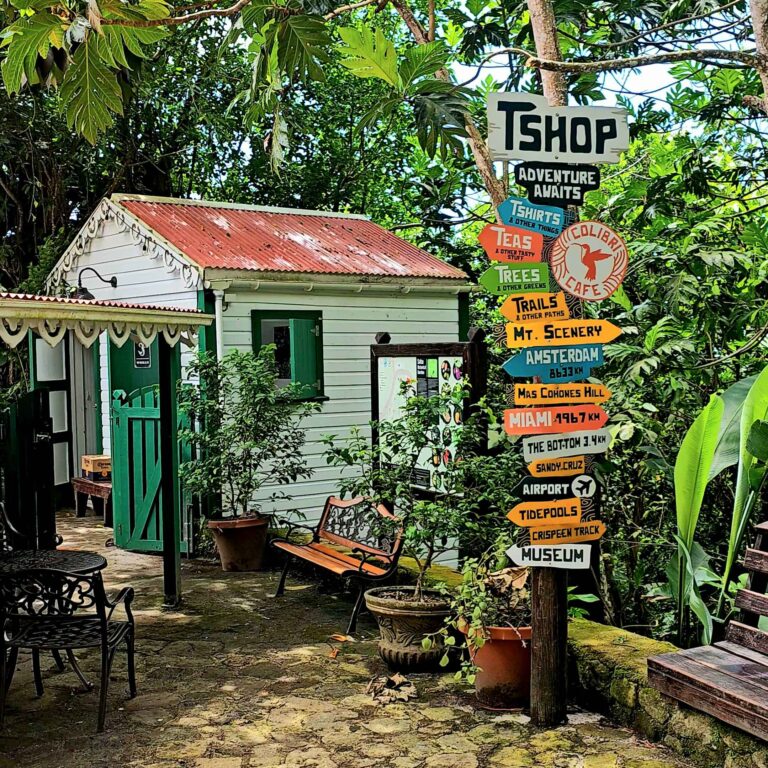 tshop 1 768x768